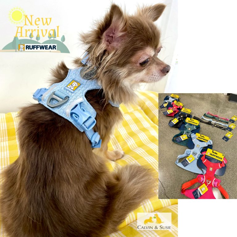 【カルビン＆スージー】ハワイで買うラフウェア‐犬用アウトドア