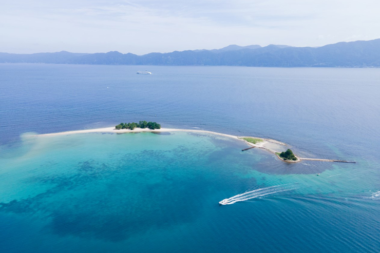 MIZUSHIMA BLUE ジンジャービア アロハ リリコイ