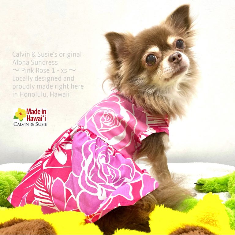 【カルビン＆スージー】愛犬・愛猫ちゃん達へGW旅行みやげ🎁