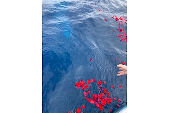5月末まで⛵ チャーター料金が50%オフになるお得なクーポン登場🌺