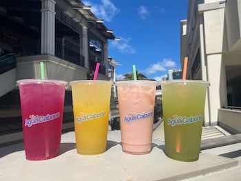爽やかな新スポット🌊 本格アグア・フレスカが楽しめます🍉✨