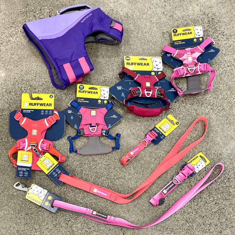 【カルビン＆スージー】ハワイで買う可愛い色のペット用ギア🎀