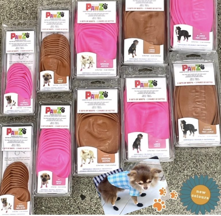 【カルビン＆スージー】ハワイで買う🐾毎日の散歩に犬用ブーツ