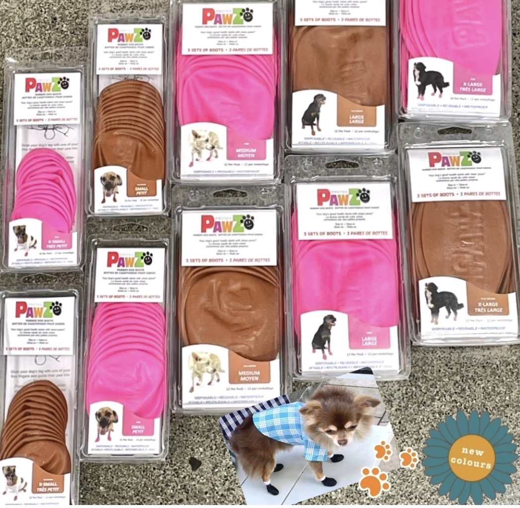 【カルビン＆スージー】ハワイで買う🐾毎日の散歩に犬用ブーツ