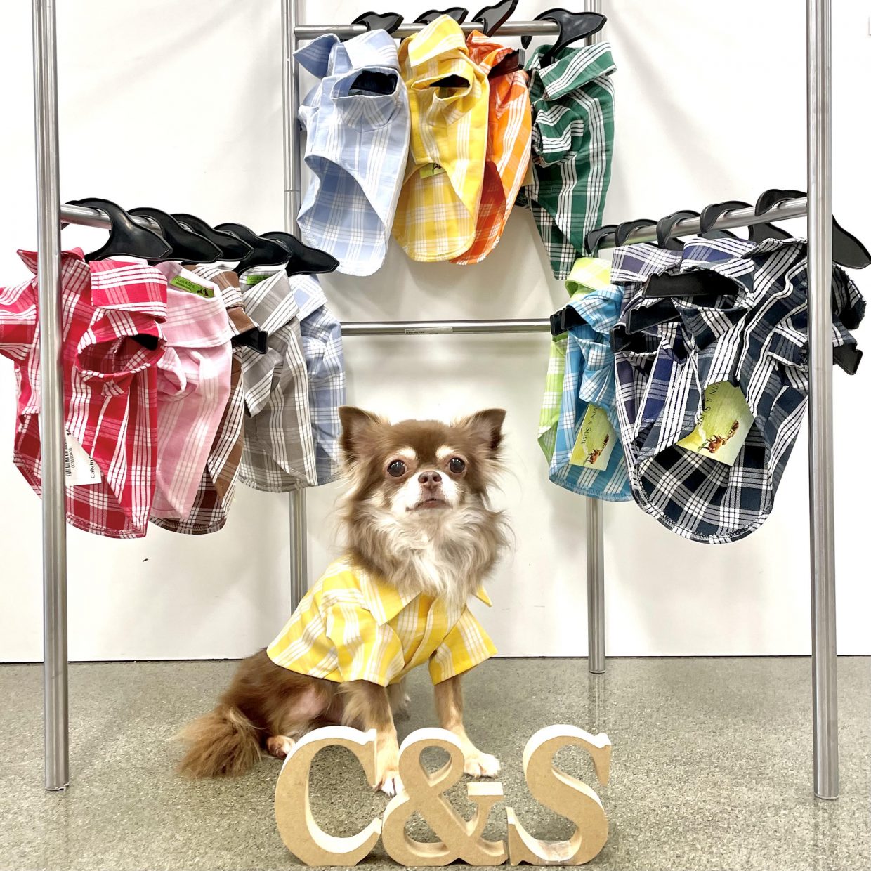 【カルビン＆スージー】ハワイで買う❣愛犬・愛猫用パラカシャツ