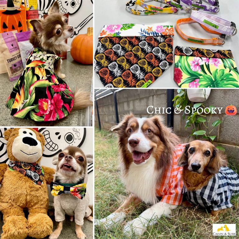 【カルビン＆スージー】ハワイで発見❣ペットと楽しむハロウィン